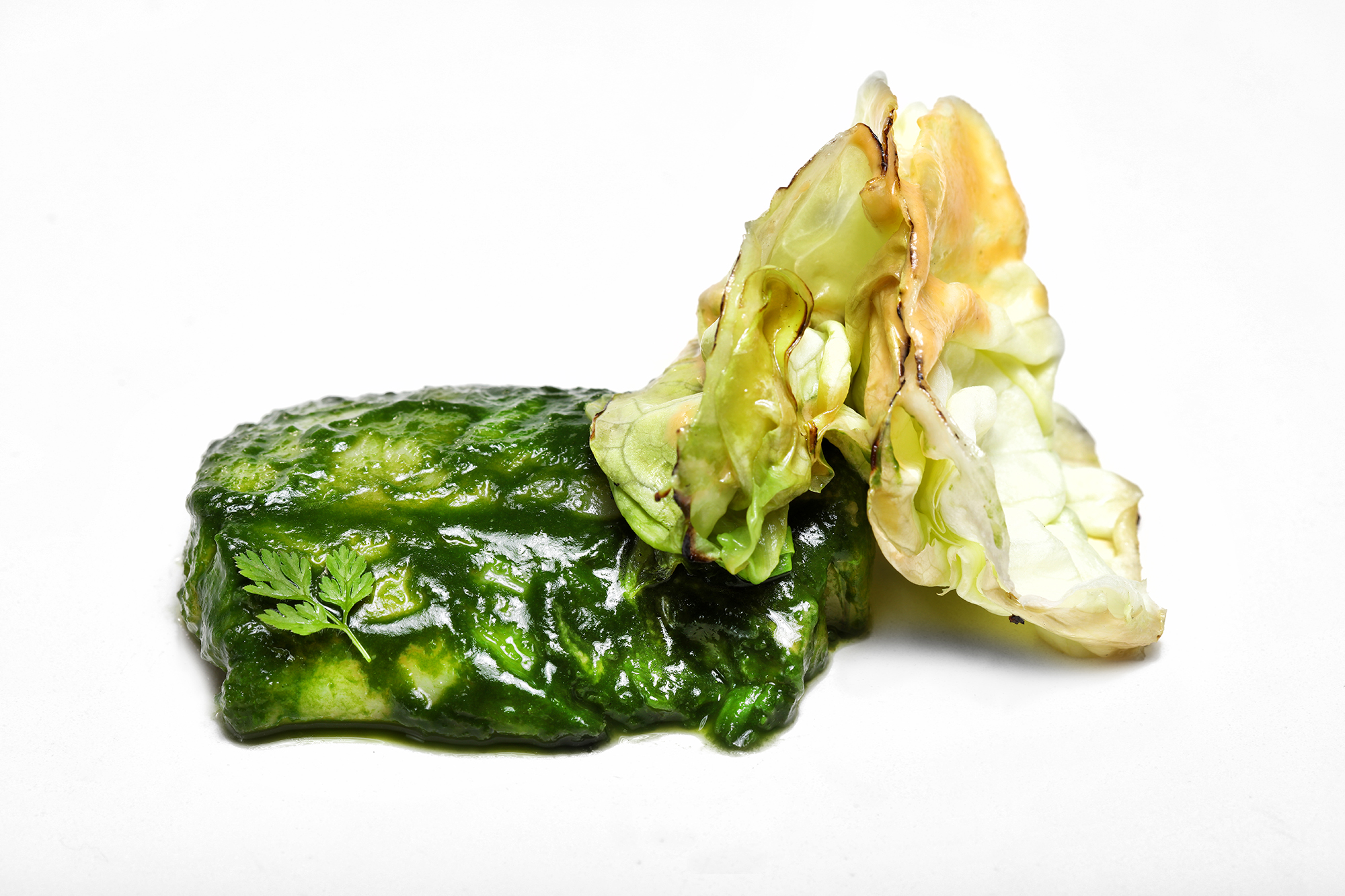 Forkbeard infused in 'revull blanc' lettuce